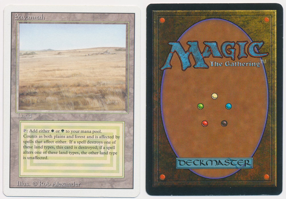 Unique image for Savannah