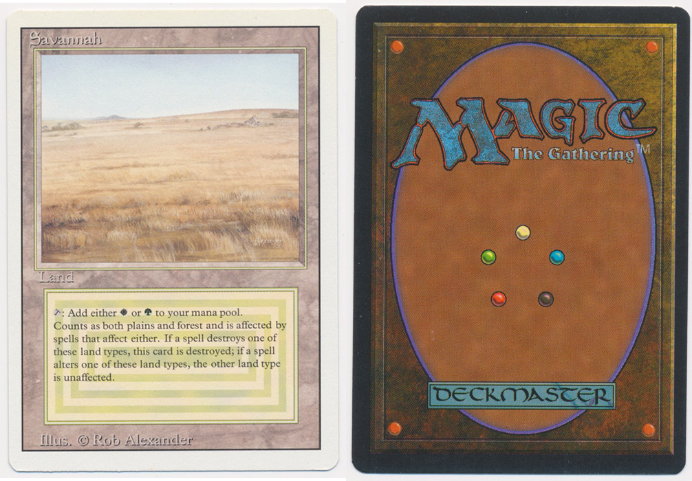 Unique image for Savannah