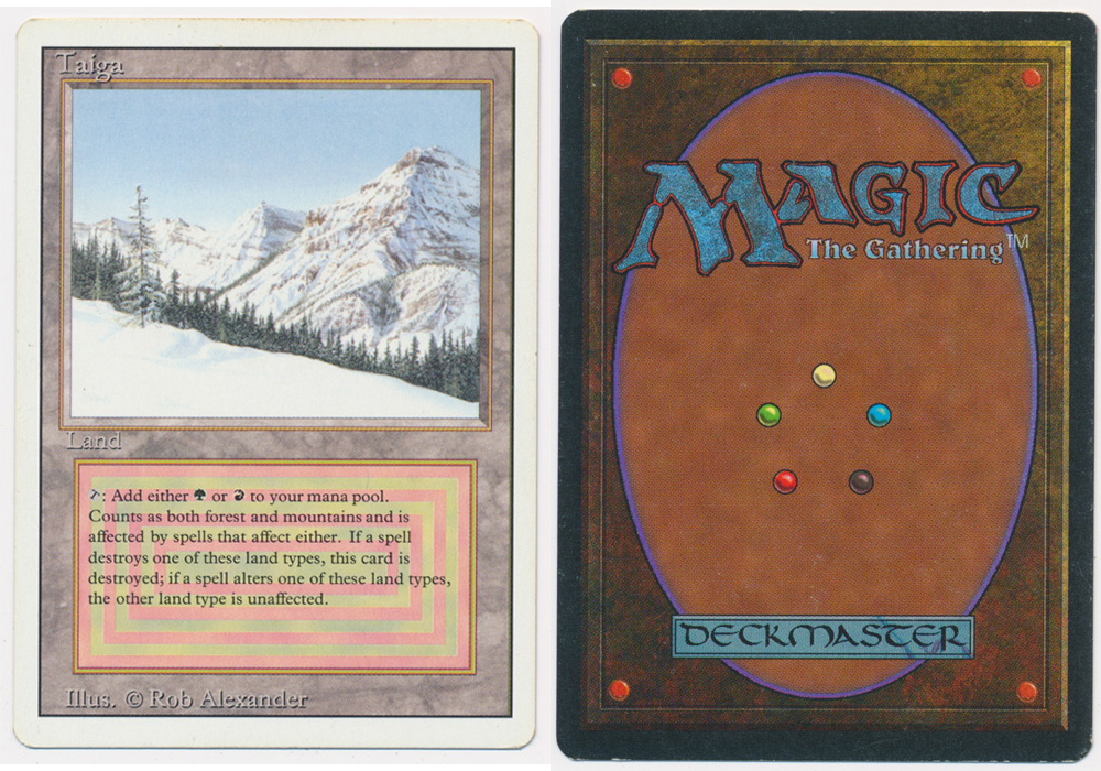 Unique image for Taiga