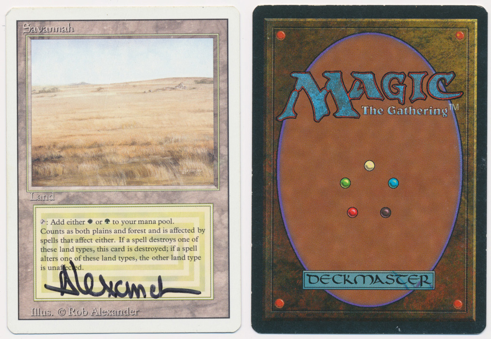 Unique image for Savannah