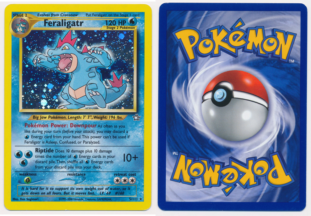 Unique image for Feraligatr - 5/111