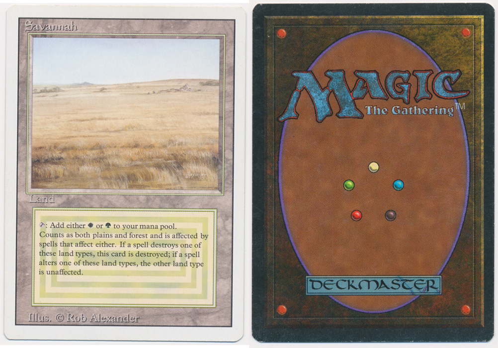 Unique image for Savannah