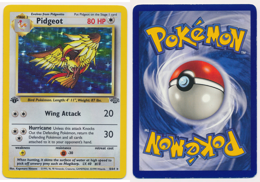 Unique image for Pidgeot - 8/64