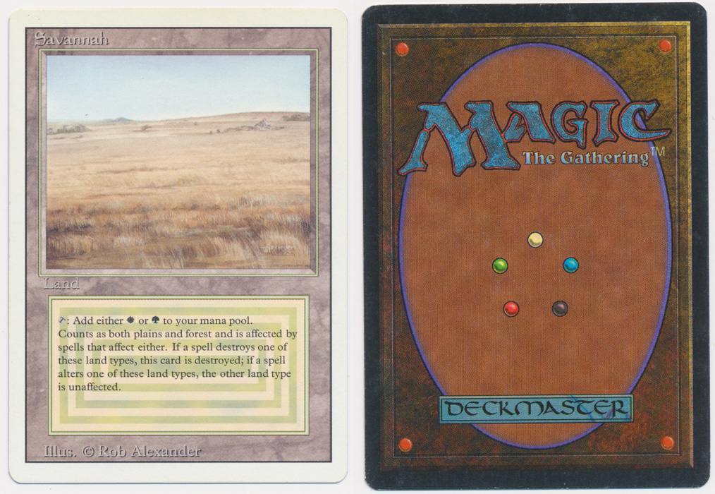 Unique image for Savannah