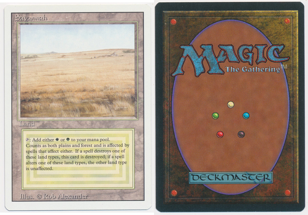 Unique image for Savannah