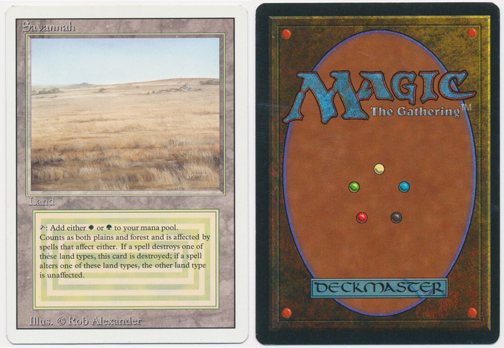 Unique image for Savannah