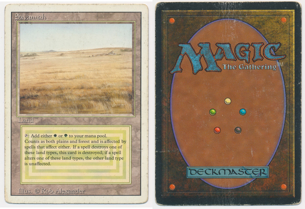 Unique image for Savannah