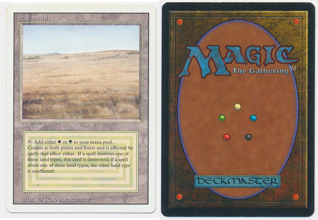 Unique image for Savannah