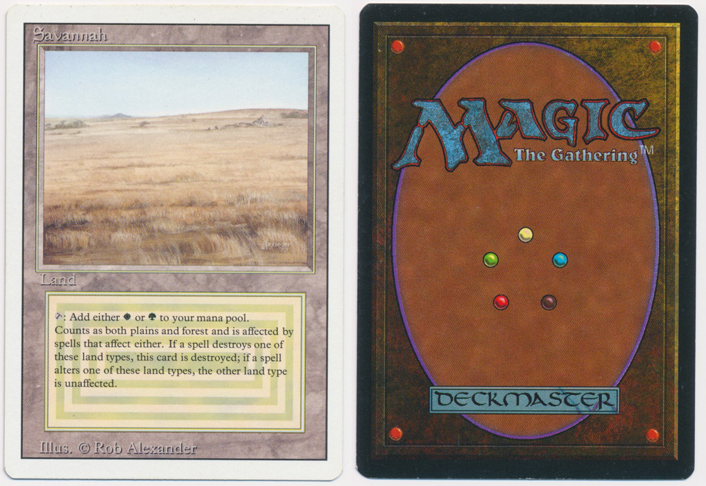 Unique image for Savannah