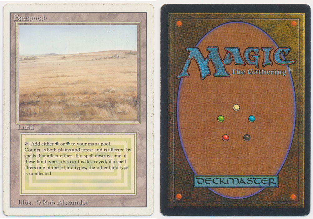 Unique image for Savannah