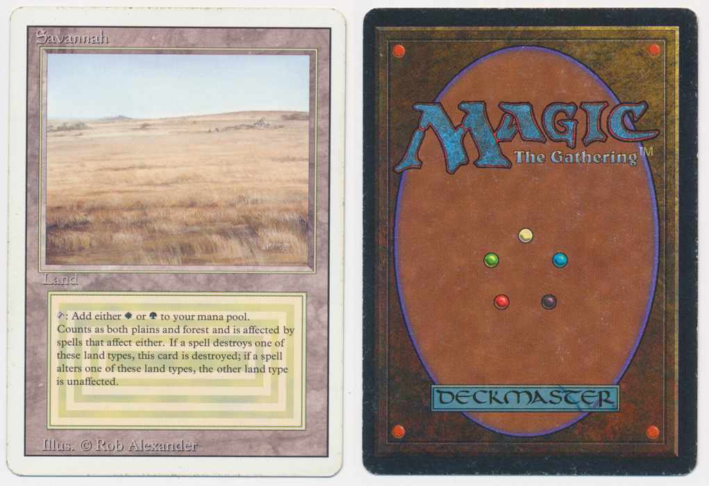 Unique image for Savannah