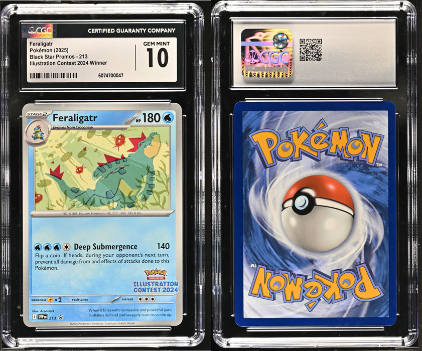 Unique image for Feraligatr - SVP213