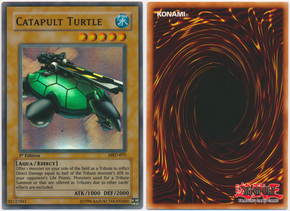 Unique image for Catapult Turtle