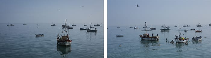 LEFT: Pirates likely target artisanal fishing boats since Peru’s small-scale fishermen are already in a vulnerable position; living in poverty and without adequate infrastructure, access to healthcare, nor support from the government, especially law enforcement (© Emi Koch) RIGHT: Artisanal fishermen return with a small catch after an early morning spent on the water. Many of Peru’s small-scale fishermen still use traditional fishing methods and their boats powered by the wind alone.
