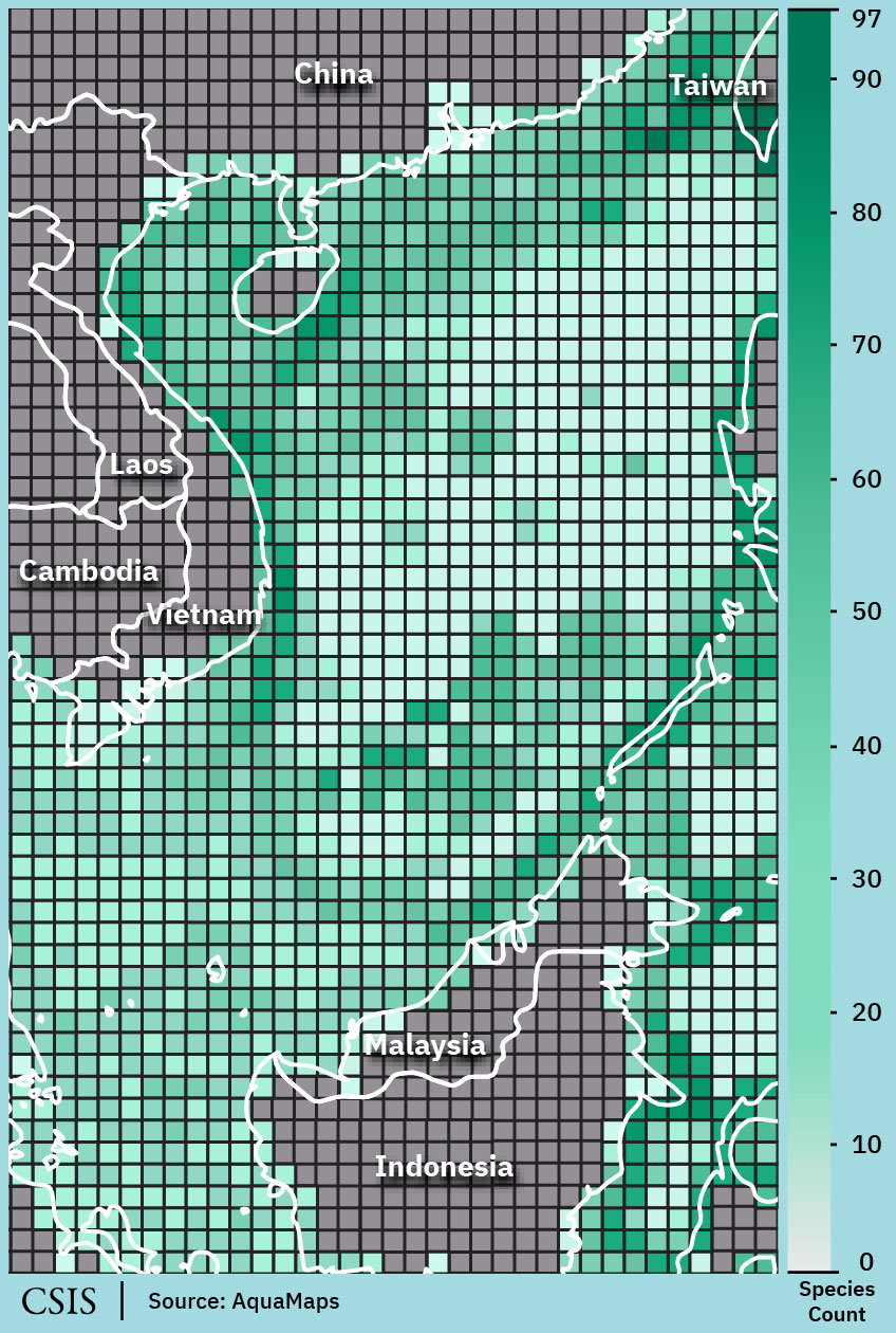 heatmap showing biodiversity of cephalopods in the South China Sea