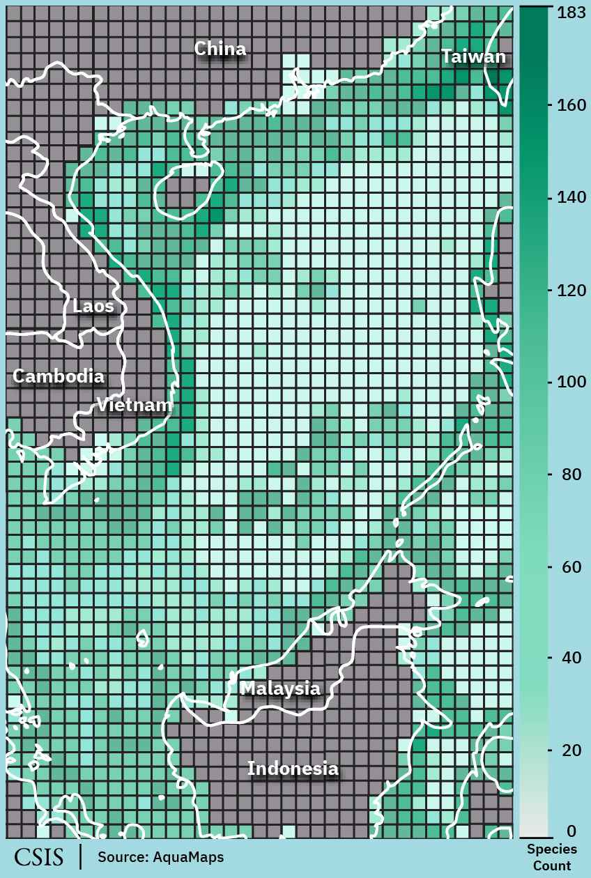 heatmap showing biodiversity of sharks in the South China Sea