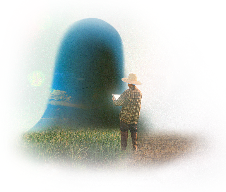 Person looking at tablet giving a glow over lush land