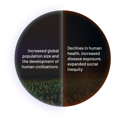Positive Impact: Increased global population size and the development of human civilizations.
Consequence(s): Declines in human health, increased disease exposure, expanded social inequity.