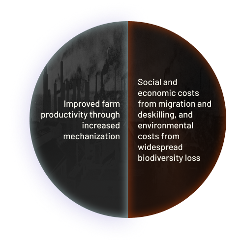 Positive Impact: Improved farm productivity through increased mechanization.
Consequence(s): Social and economic costs from migration and deskilling, and environmental costs from widespread biodiversity loss.