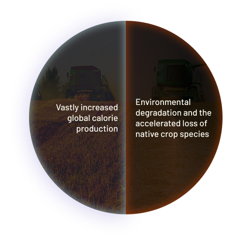 Positive Impact: Vastly increased global calorie production.
Consequence(s): Environmental degradation and the accelerated loss of native crop species.
