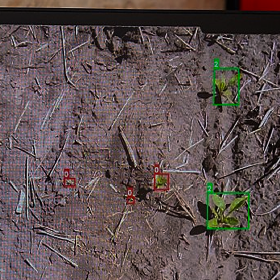 AI-assisted plant trait detection and analysis imagery