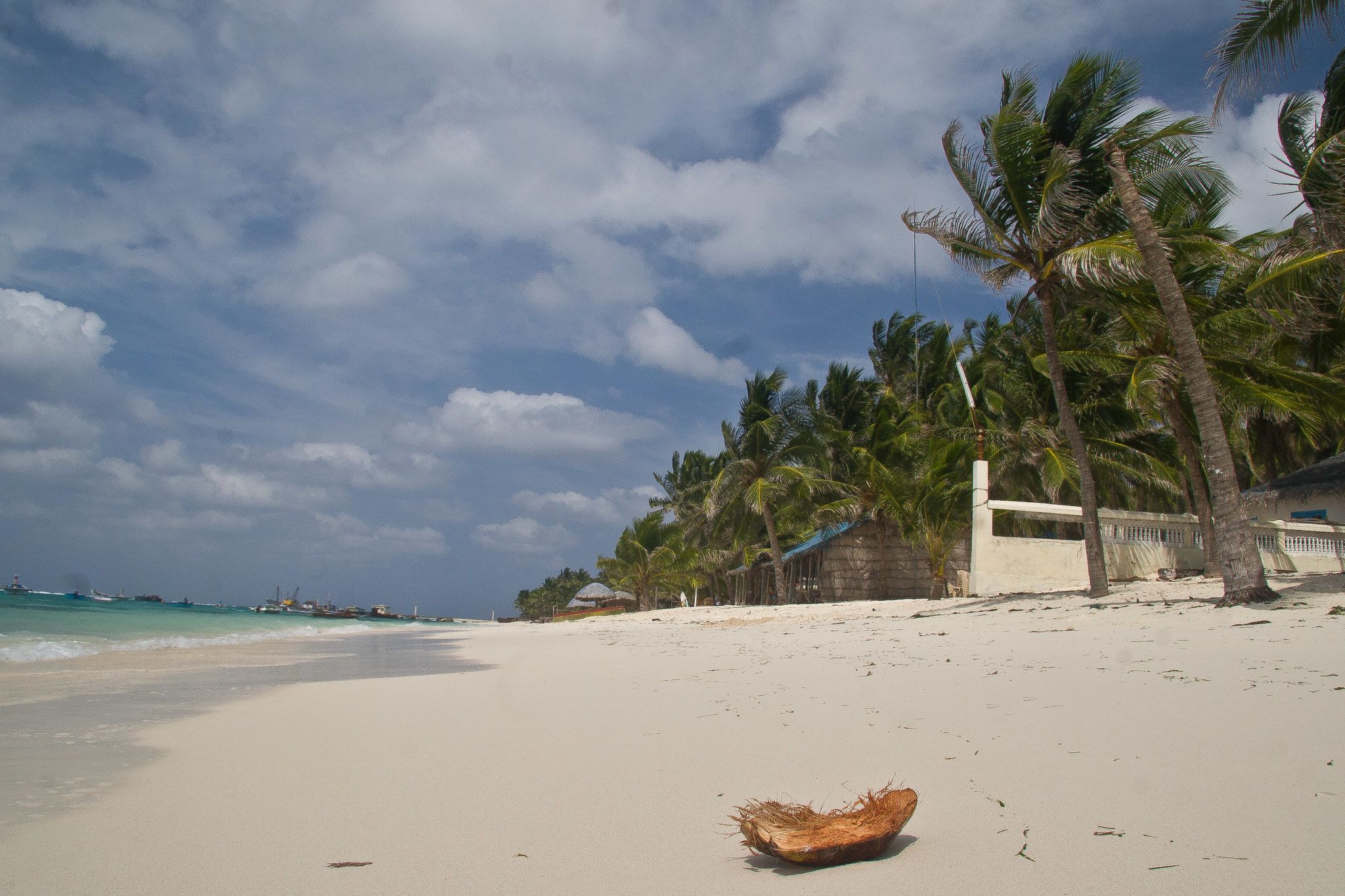 Coconut on the Tideline. (Mike Prince via Flickr) Coconut on the Tideline. (Mike Prince via Flickr)