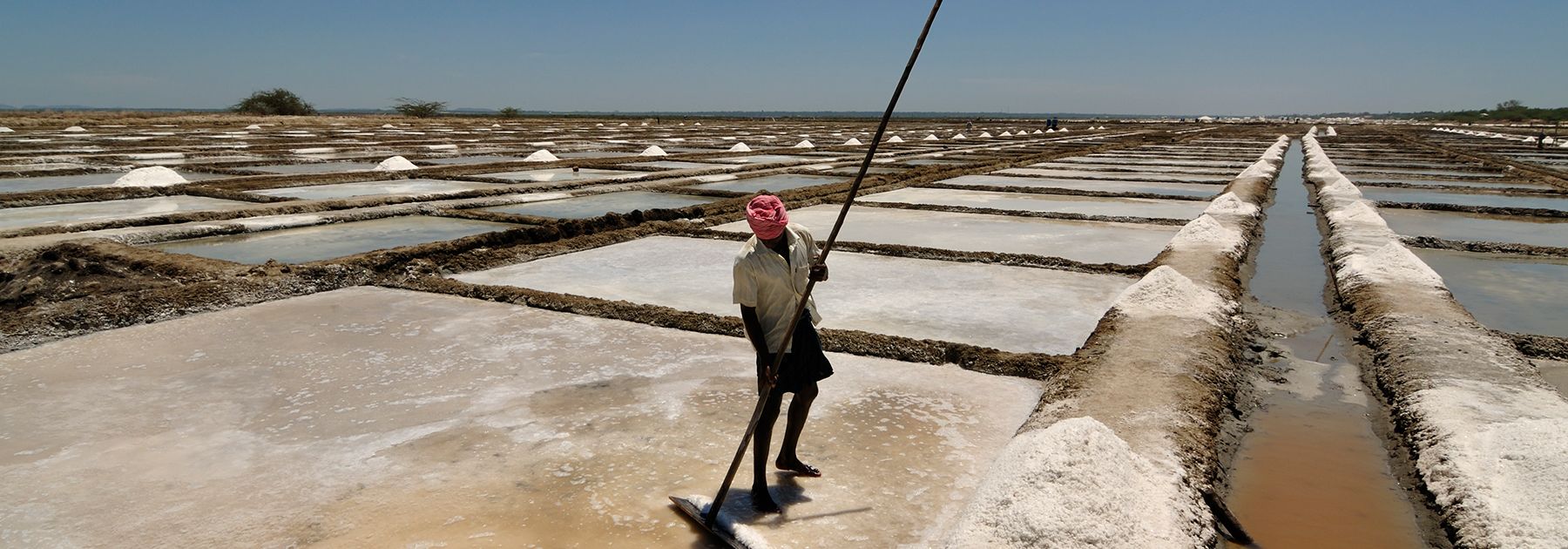Salt pans in Marakkanam where sea water is pumped into large pans and dried. (Sandip Dey, licensed under CC BY-SA 3.0) Salt pans in Marakkanam where sea water is pumped into large pans and dried. (Sandip Dey, licensed under CC BY-SA 3.0)