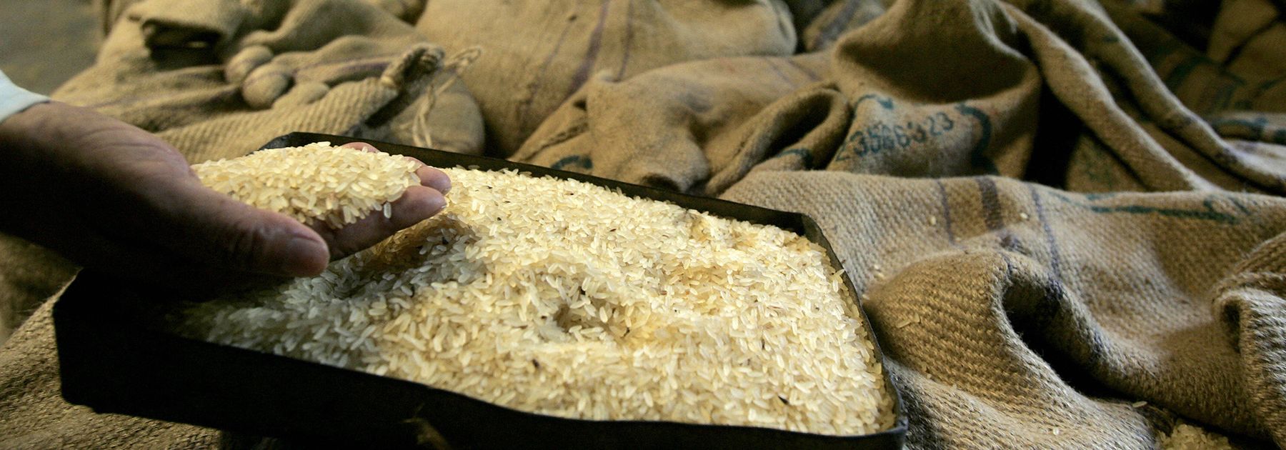 A rice mill worker checks the final production quality from a specimen kept beside of rice filled sacks at a mill in Midnapore. (DESHAKALYAN CHOWDHURY/AFP/Getty Images) A rice mill worker checks the final production quality from a specimen kept beside of rice filled sacks at a mill in Midnapore. (DESHAKALYAN CHOWDHURY/AFP/Getty Images)