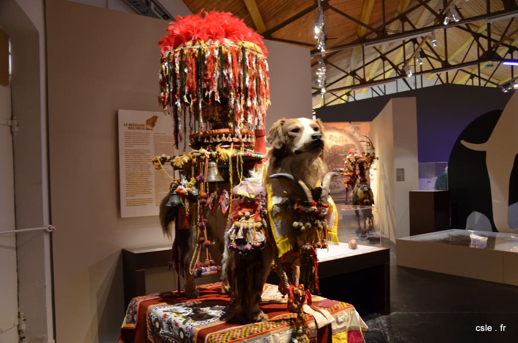 3-(2015-06-18 10-46-58)NIKON CORPORATION NIKON D7000 (4928×3264)