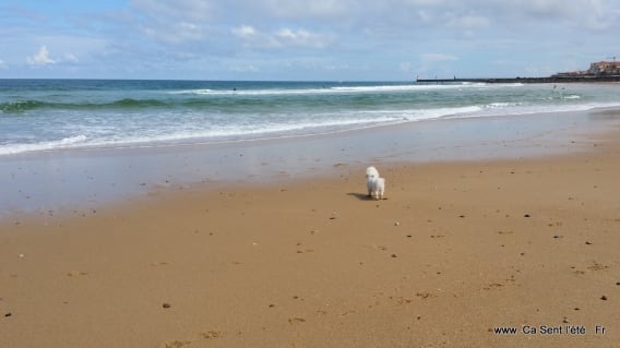 Plage de Capbreton surf-05-30 11.16.54