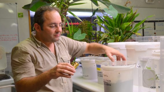 cuisine de l'insectarium