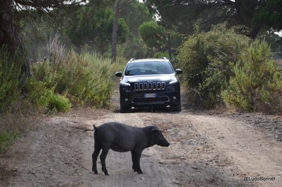 Road trip Jeep Cherokee Portugal (7)