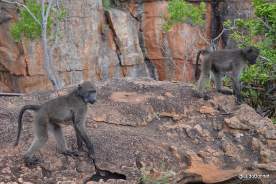 Blyde river Canyon (2)