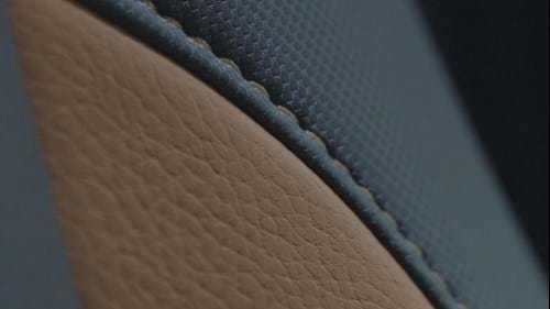 madrona-and-stitchinglr