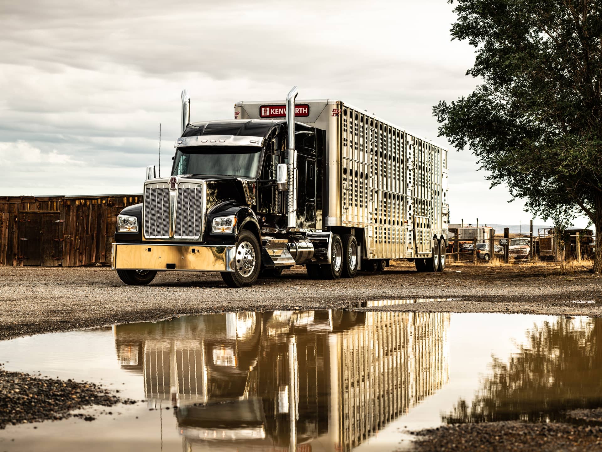 Kenworth W990 KW Trucks