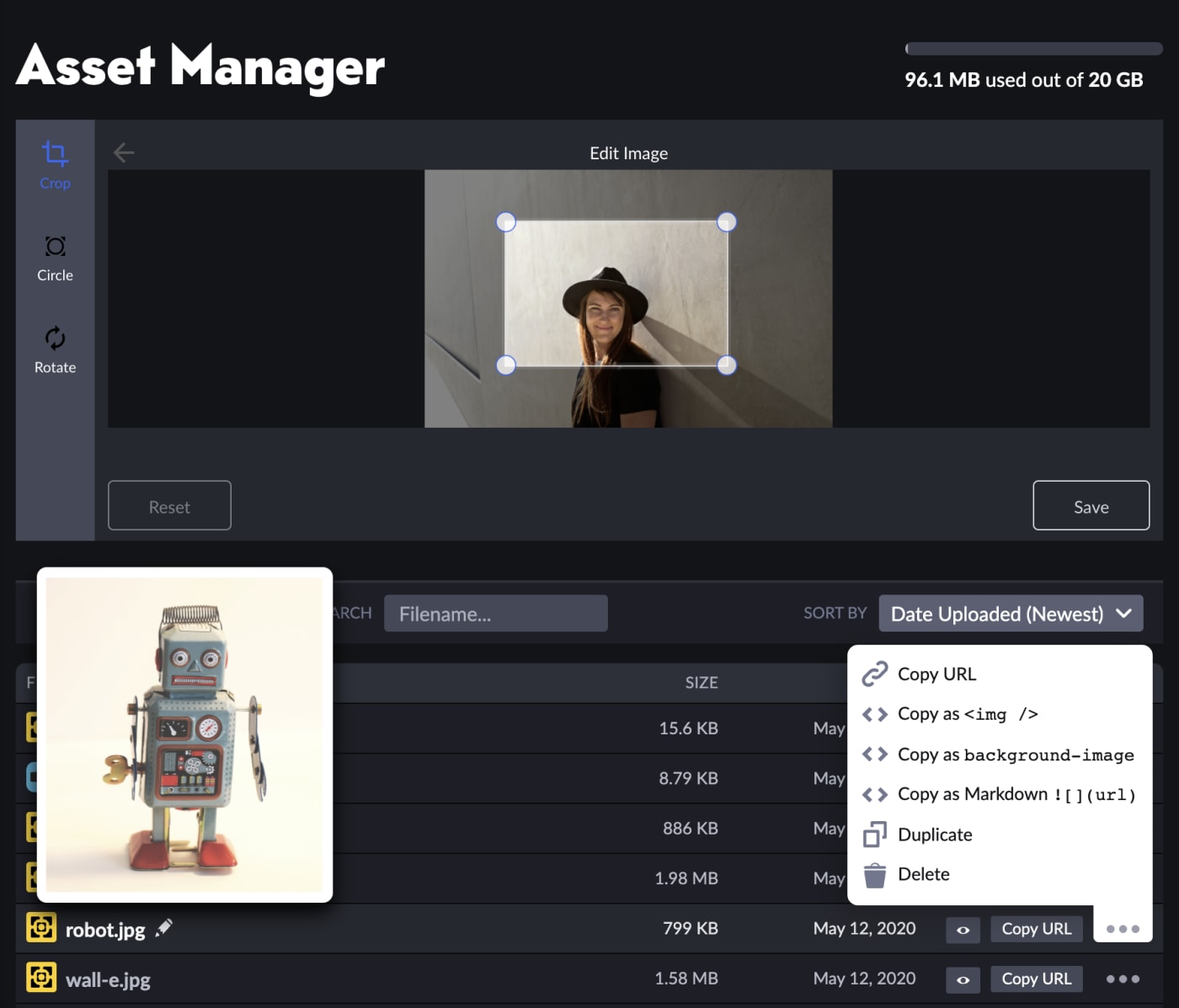 CodePen Asset Manager