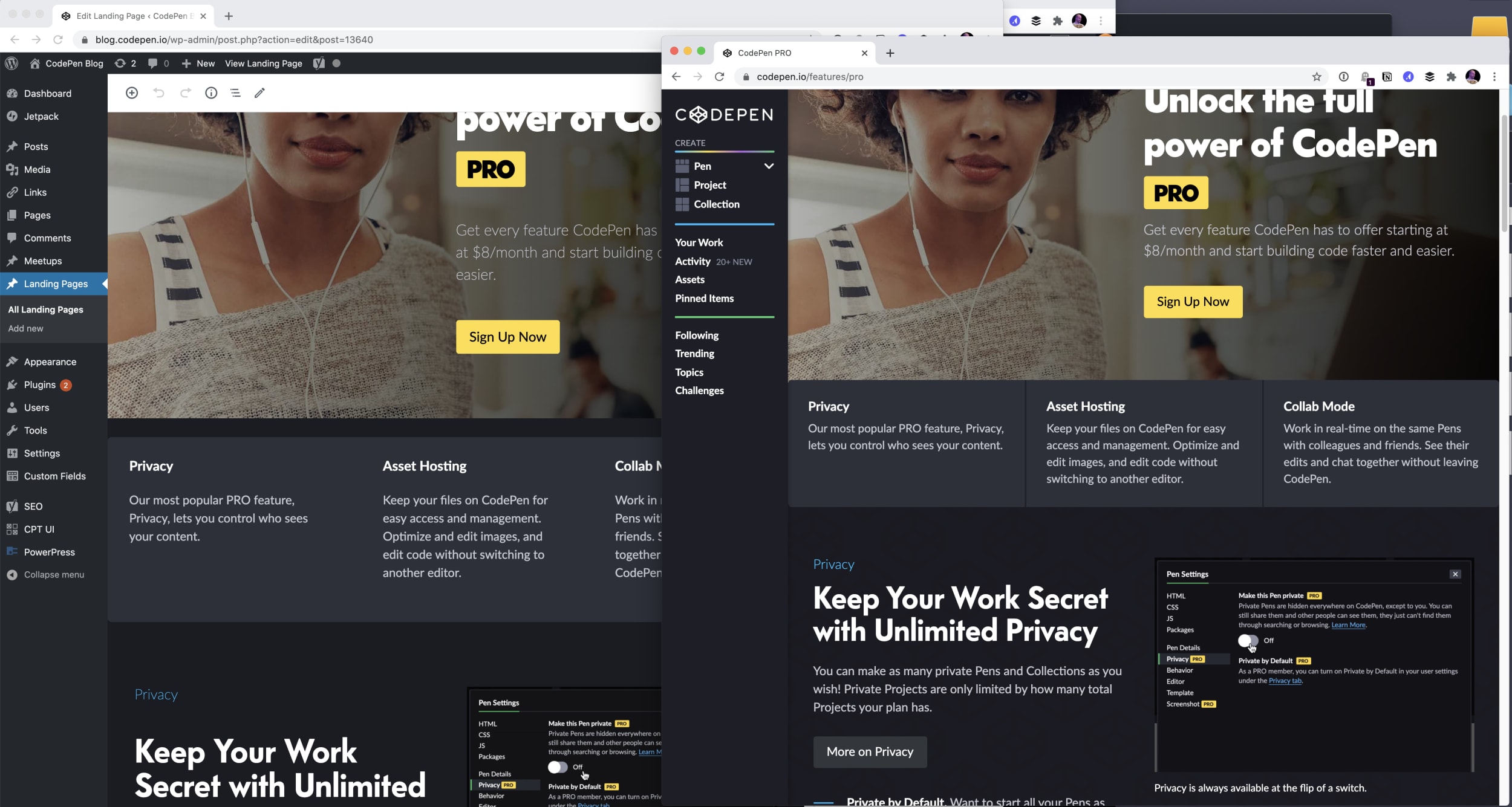 WordPress on the left, Landing Page on Right looking almost identical