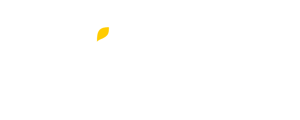 Wix logo