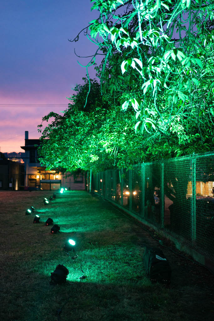 Trees lit by green light during dusk