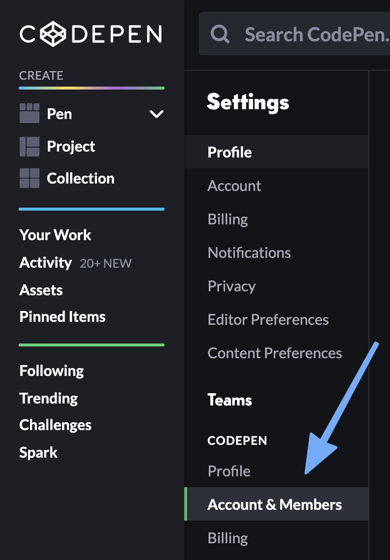 Team Management - CodePen Blog