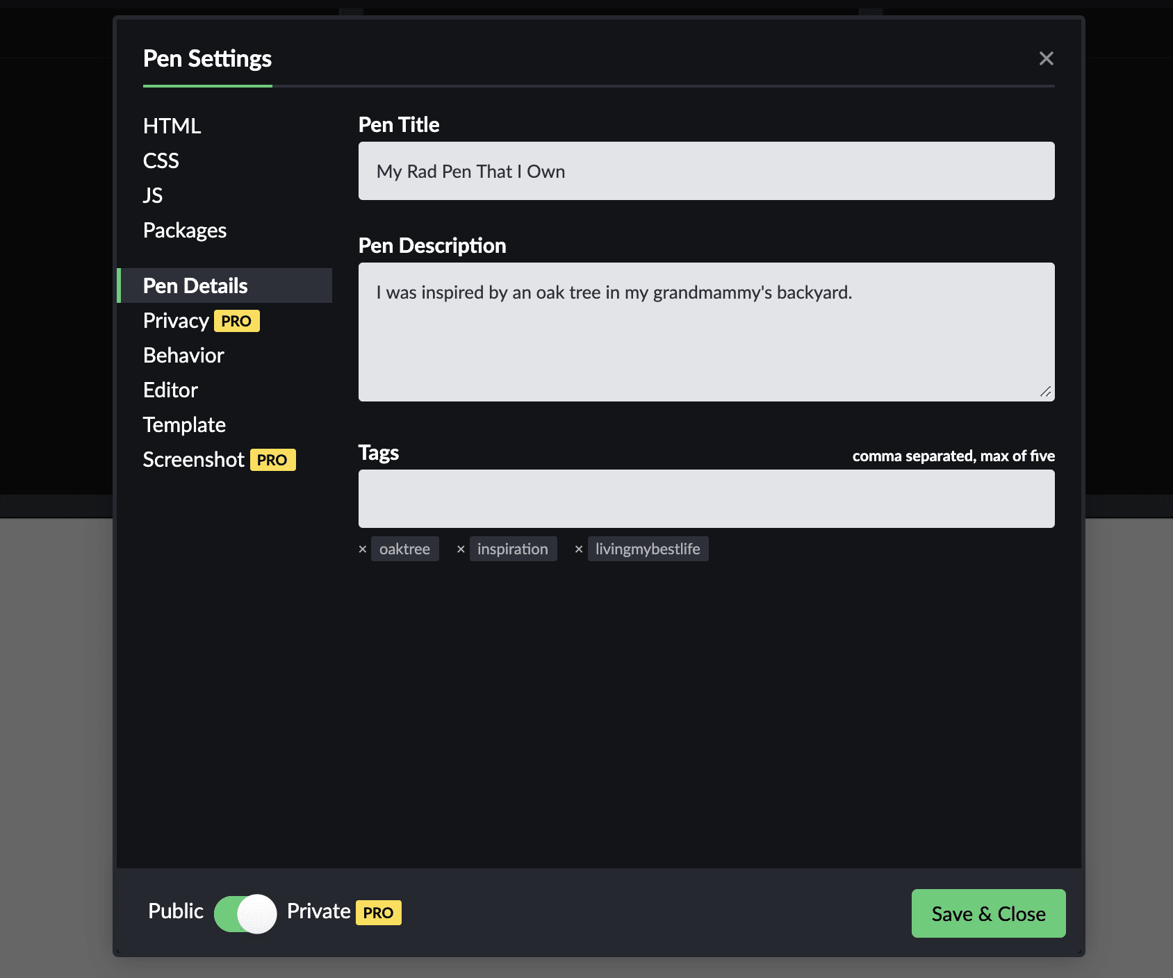New Pen Settings Design - CodePen Blog