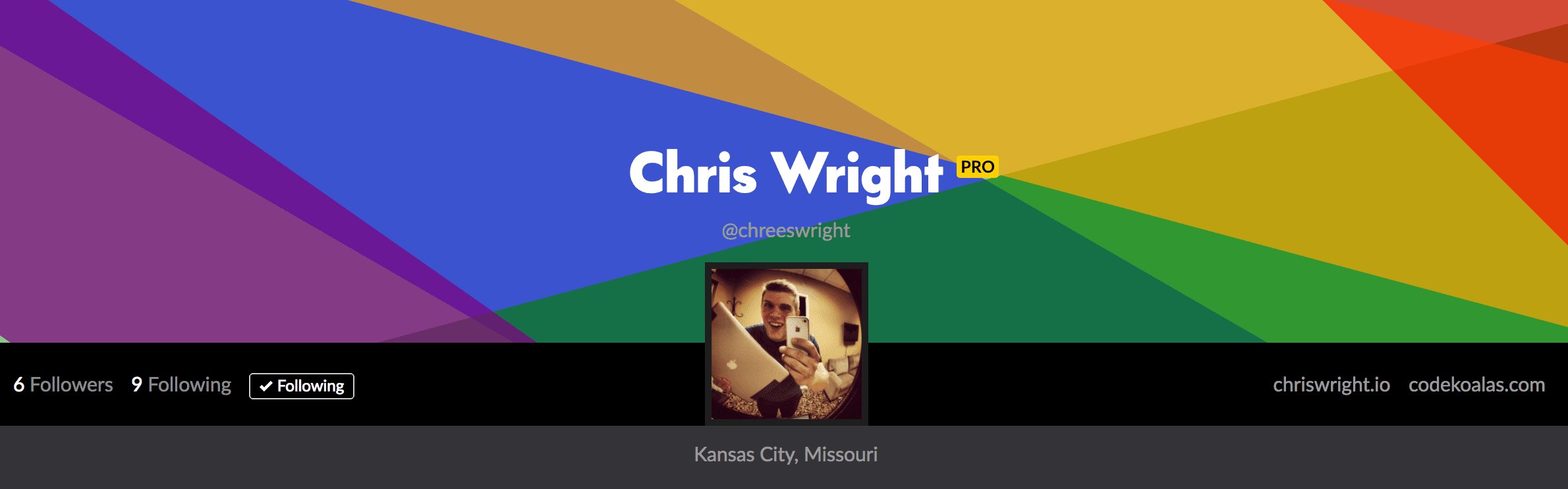 Some Beautiful Profile Headers with Custom Pens - CodePen Blog