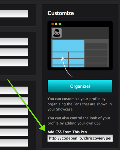 Custom Profiles - CodePen Blog