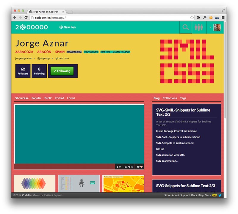 Custom Profiles - CodePen Blog