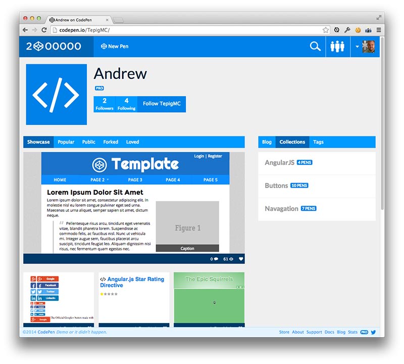 Custom Profiles - CodePen Blog