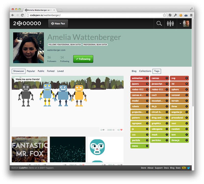 Custom Profiles - CodePen Blog