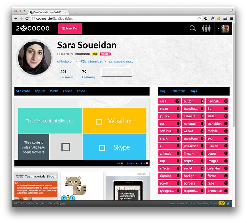 Custom Profiles - CodePen Blog