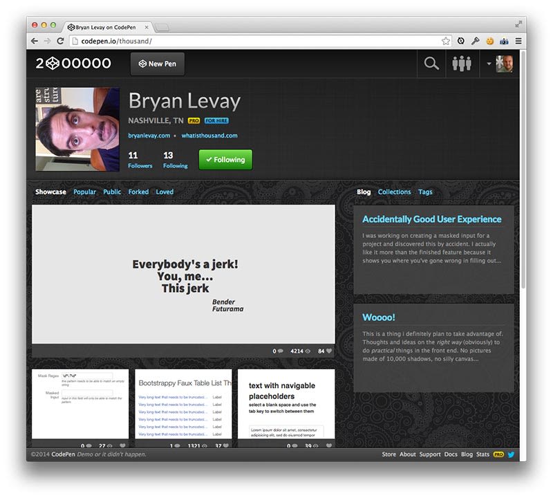 Custom Profiles - CodePen Blog