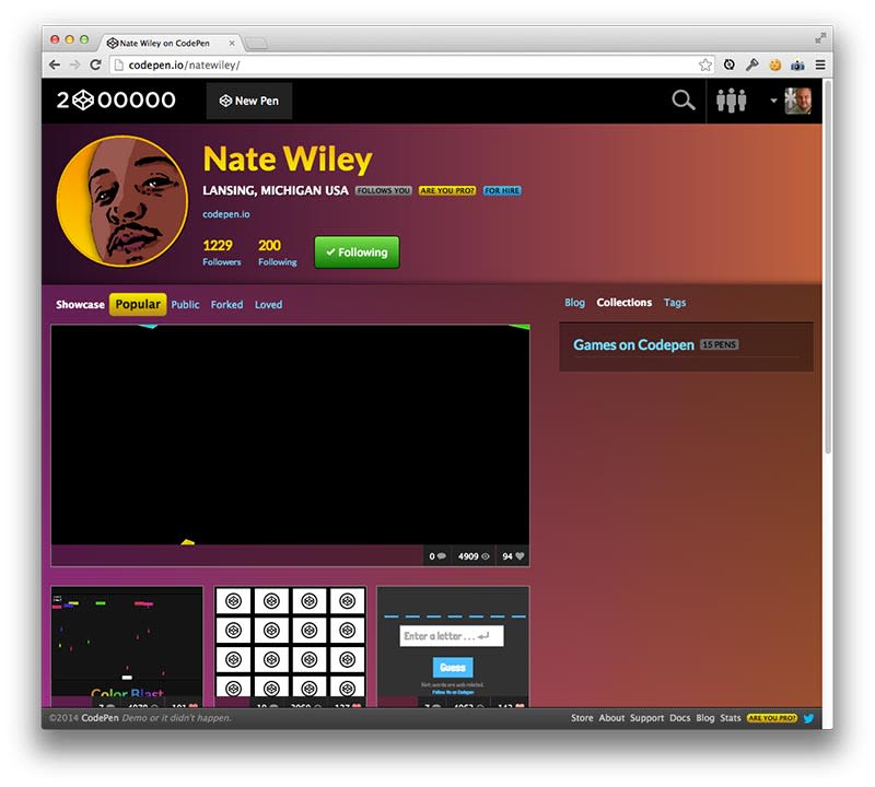 Custom Profiles - CodePen Blog