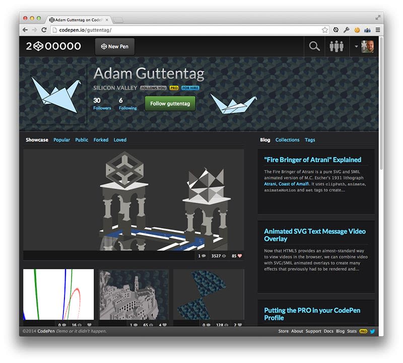 Custom Profiles - CodePen Blog